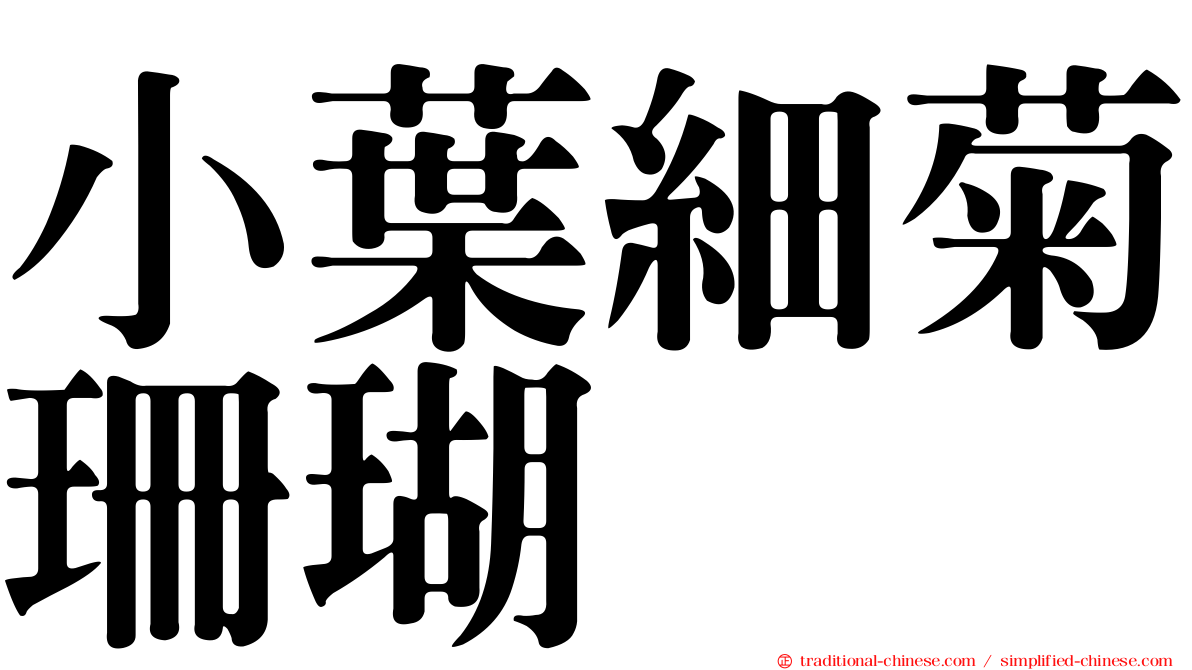 小葉細菊珊瑚
