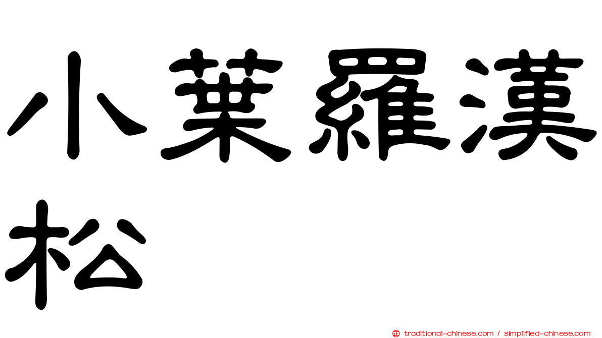 小葉羅漢松