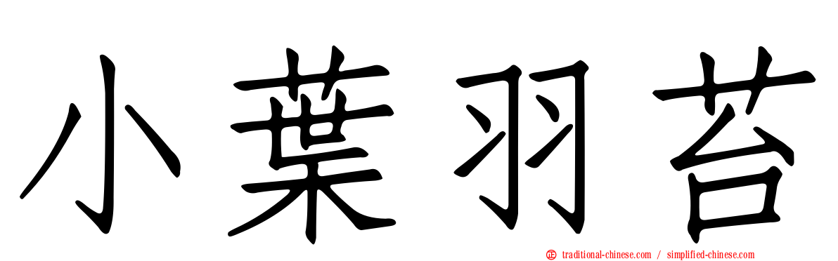 小葉羽苔