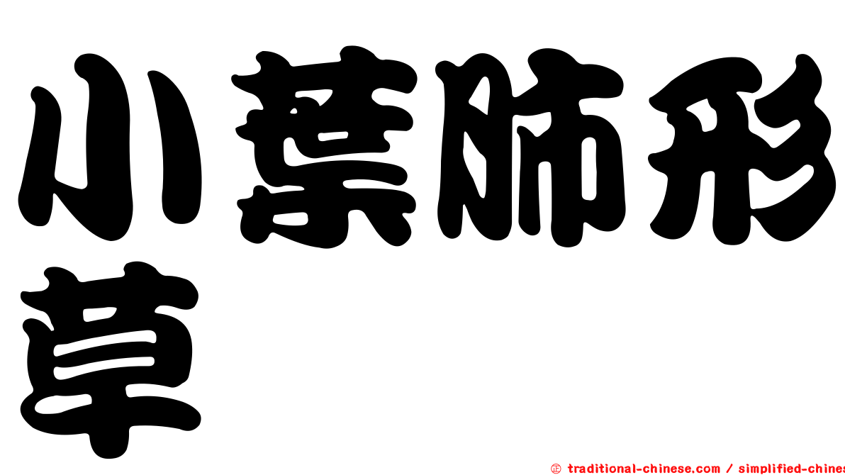 小葉肺形草