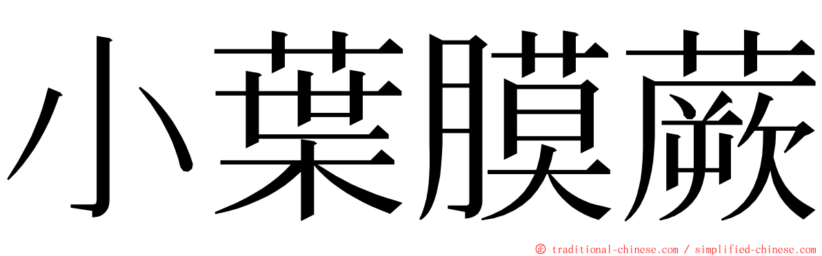 小葉膜蕨 ming font