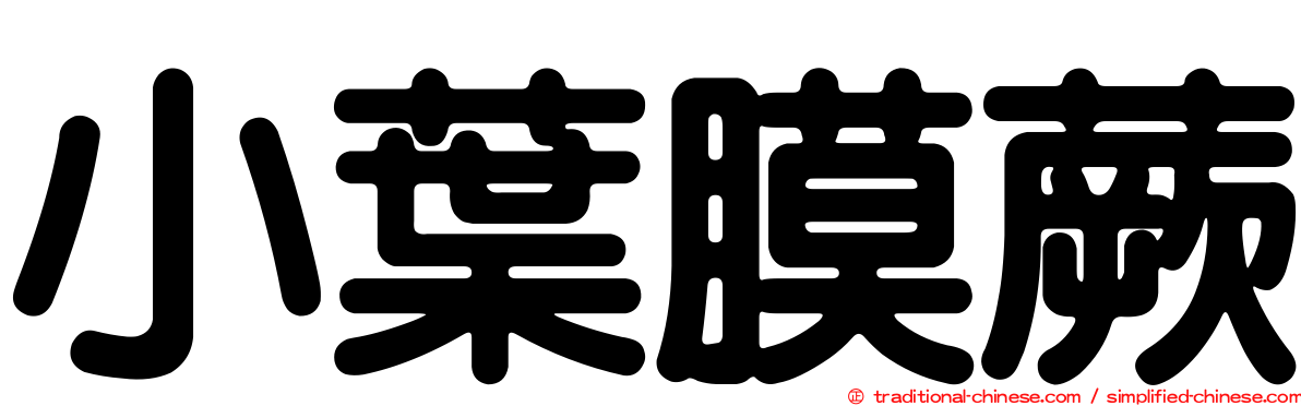小葉膜蕨
