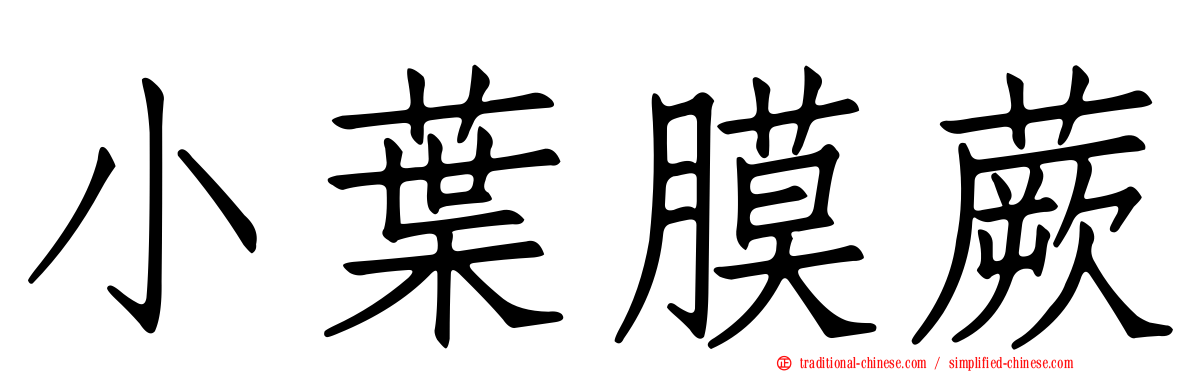 小葉膜蕨