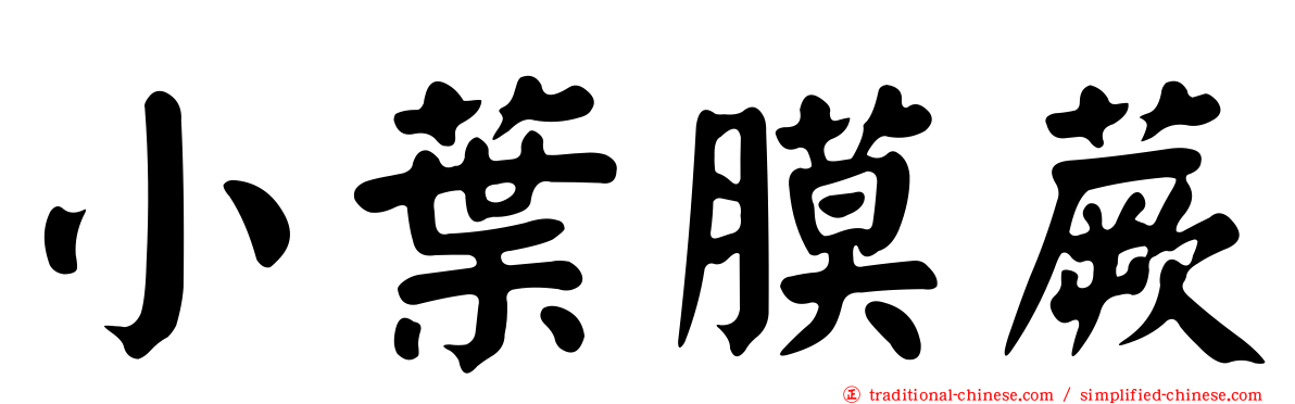 小葉膜蕨
