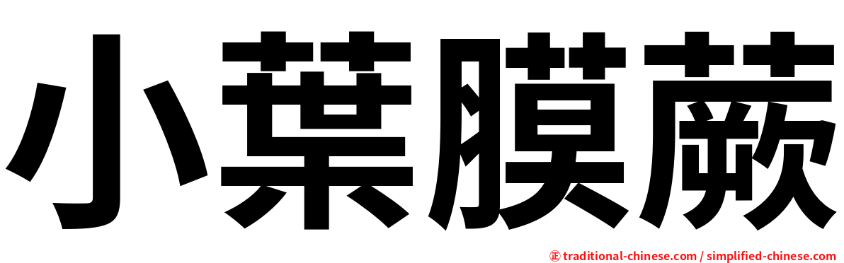 小葉膜蕨