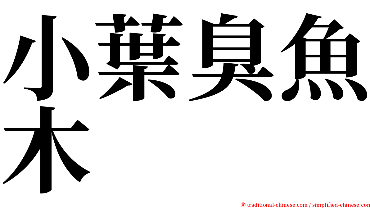 小葉臭魚木 serif font