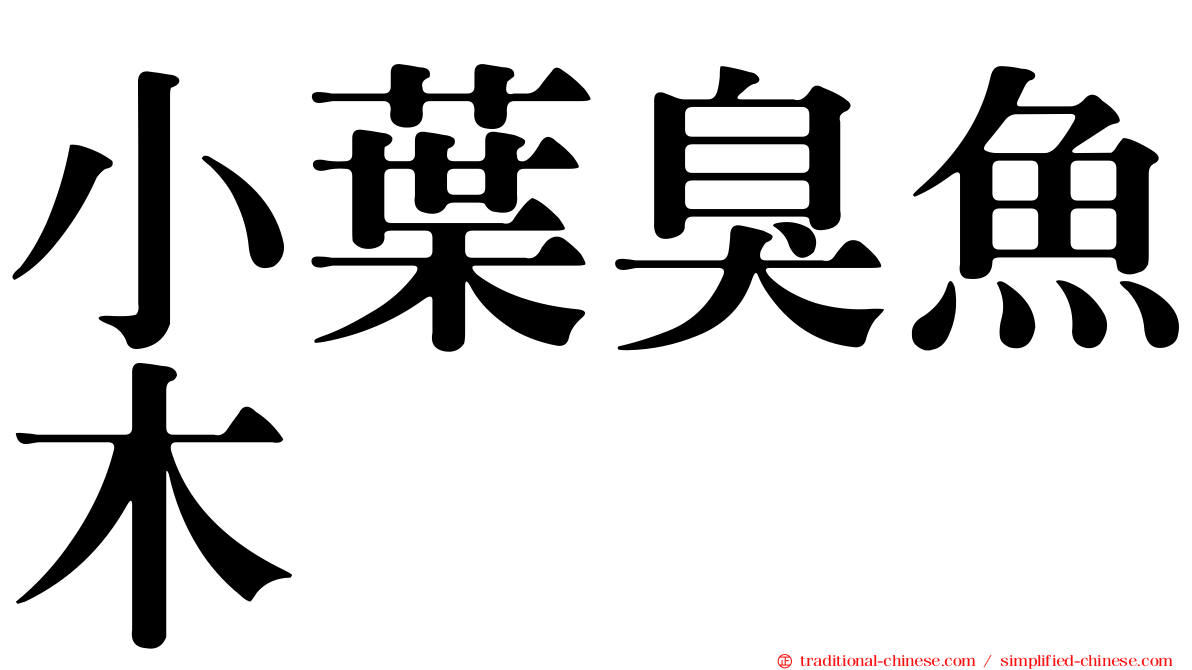 小葉臭魚木
