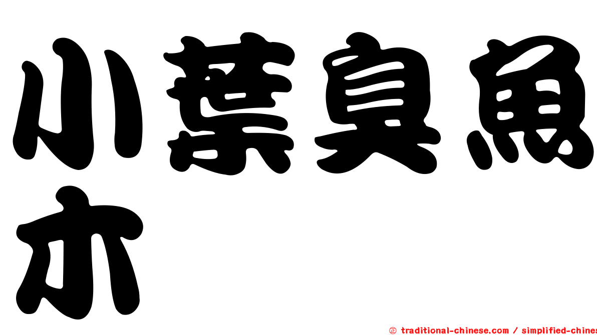 小葉臭魚木