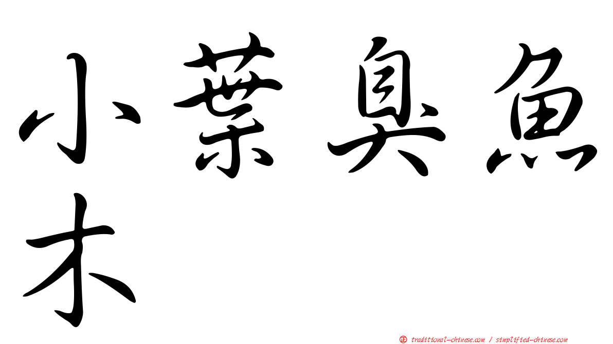 小葉臭魚木