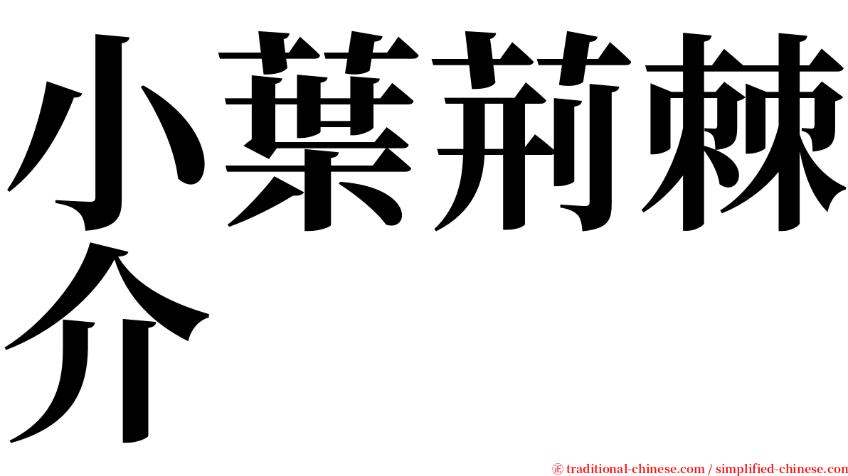 小葉荊棘介 serif font