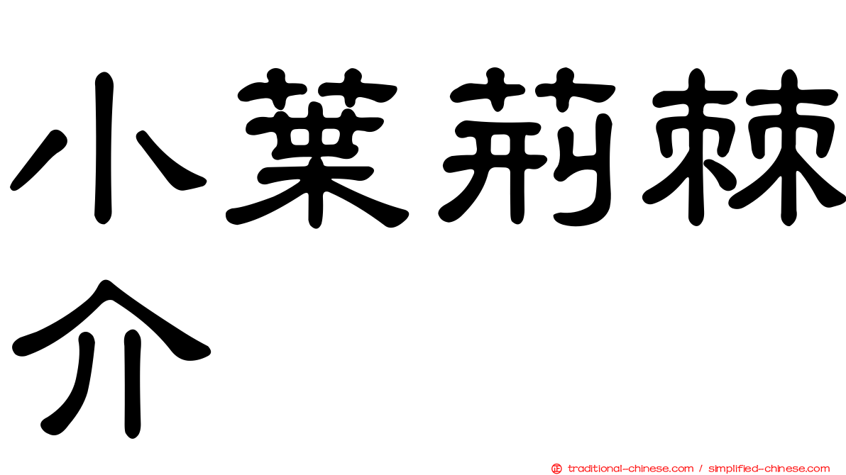 小葉荊棘介
