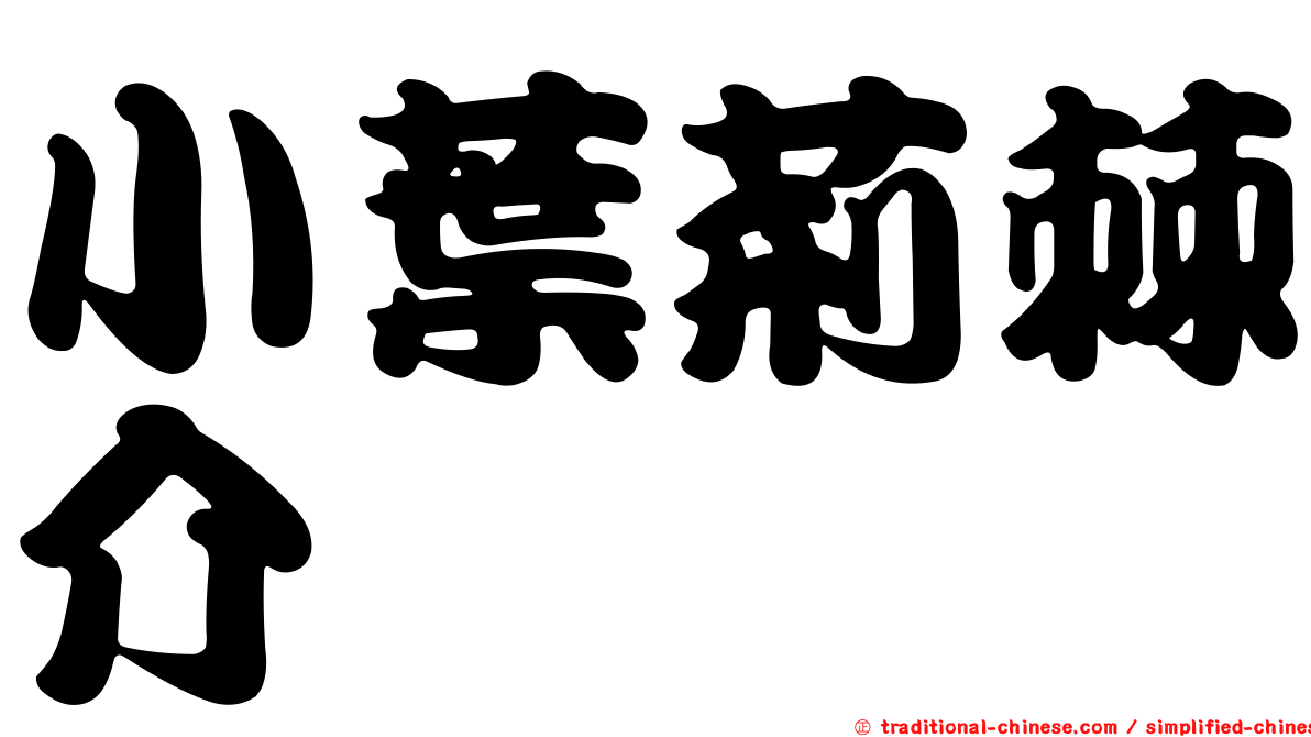 小葉荊棘介