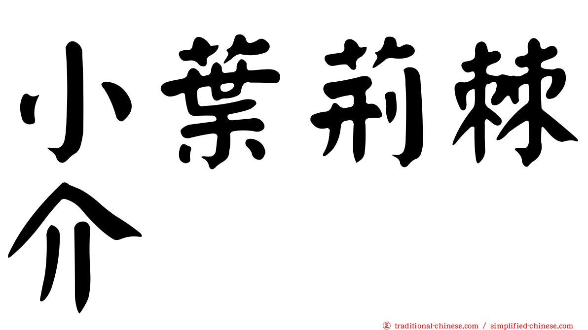 小葉荊棘介
