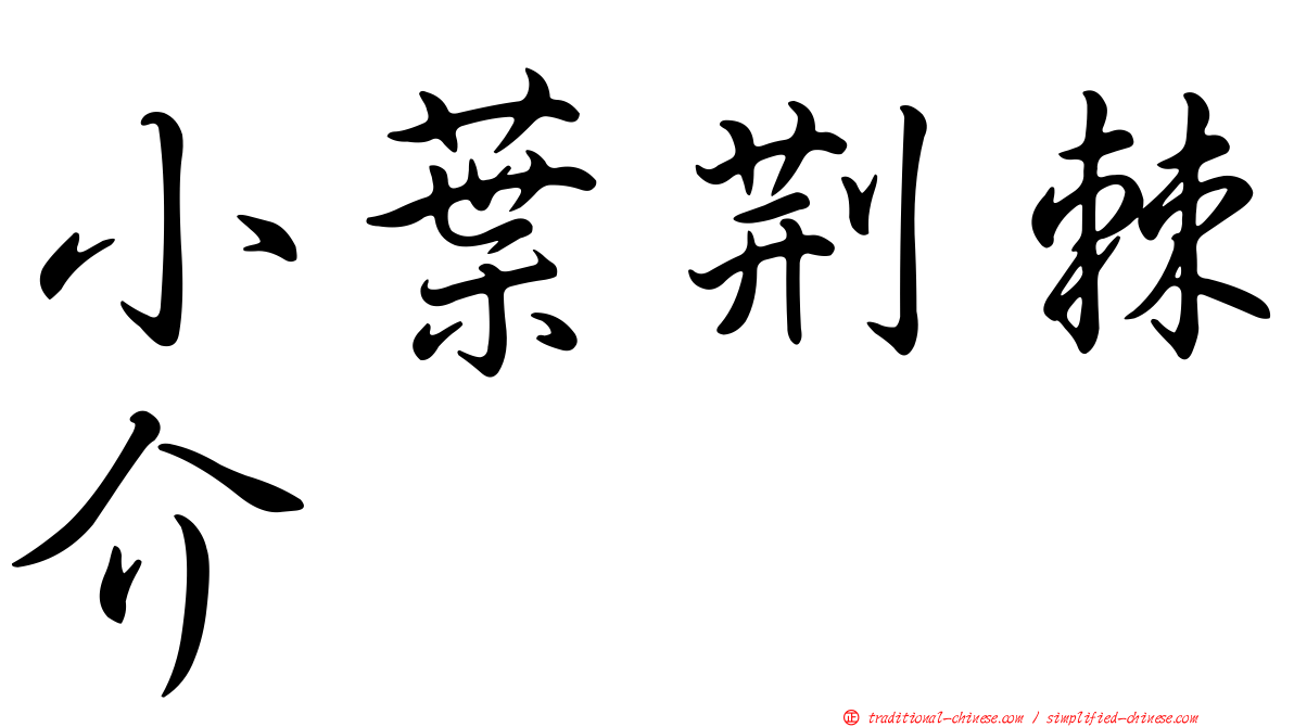 小葉荊棘介