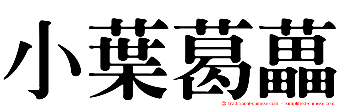 小葉葛藟