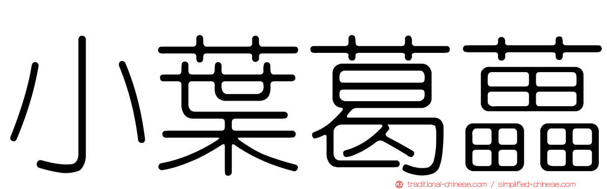 小葉葛藟