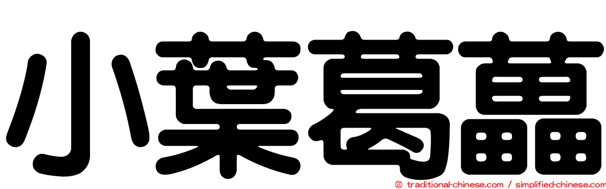 小葉葛藟