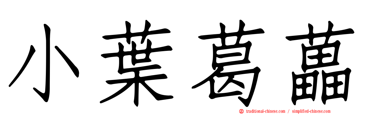 小葉葛藟
