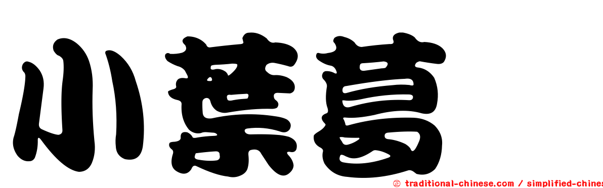 小葉葛藟