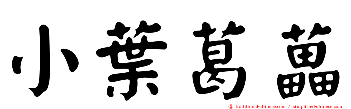 小葉葛藟