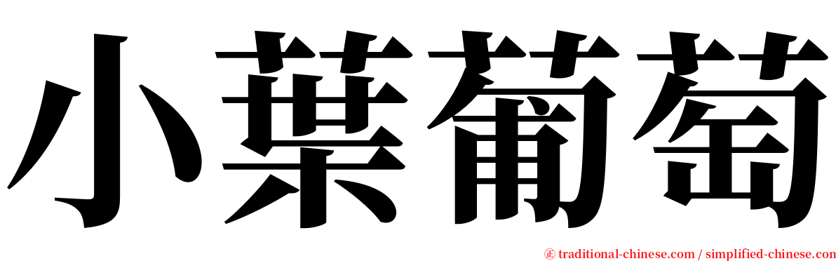 小葉葡萄 serif font