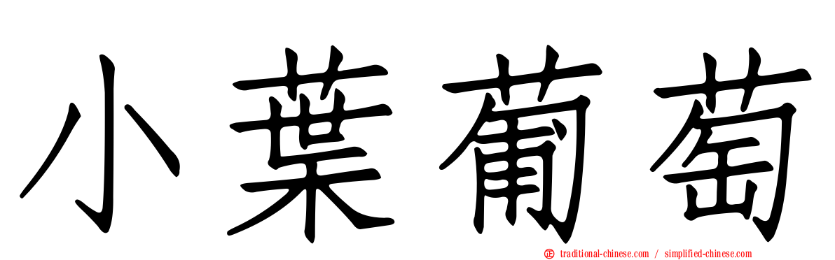 小葉葡萄