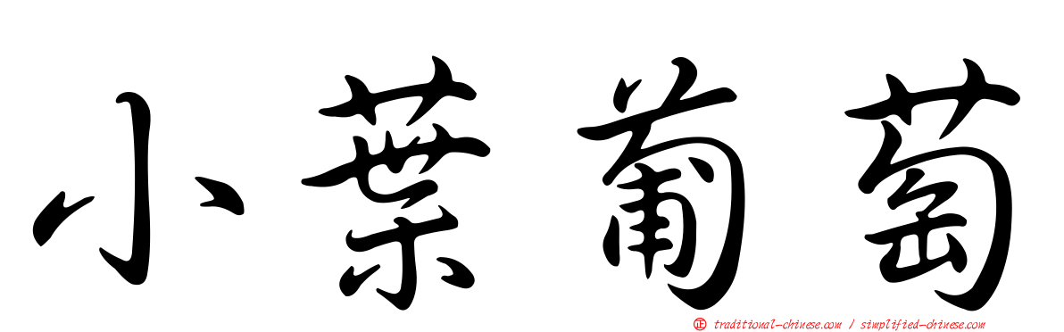 小葉葡萄