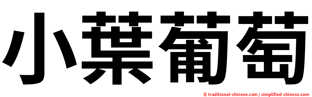 小葉葡萄