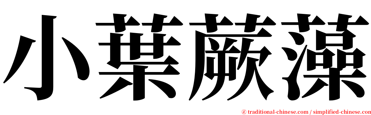 小葉蕨藻 serif font