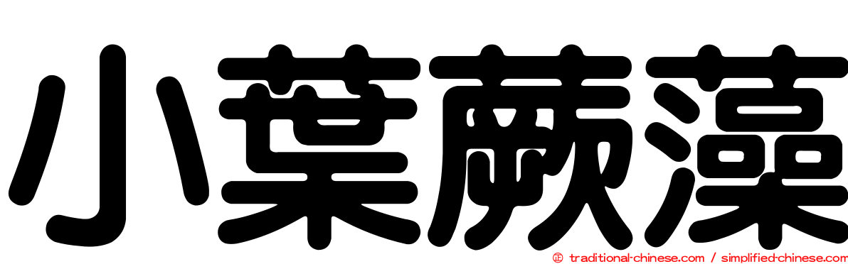 小葉蕨藻