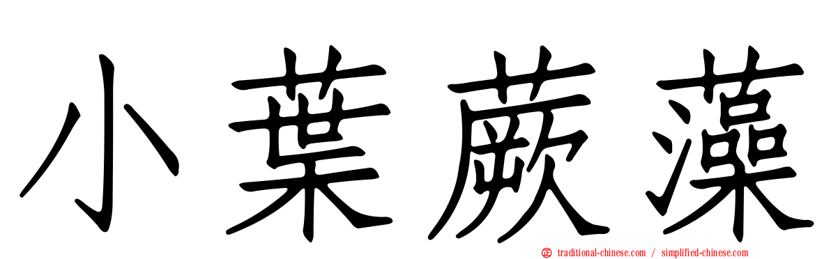 小葉蕨藻