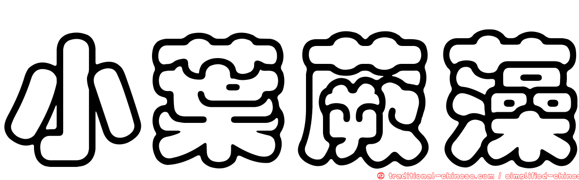 小葉蕨藻