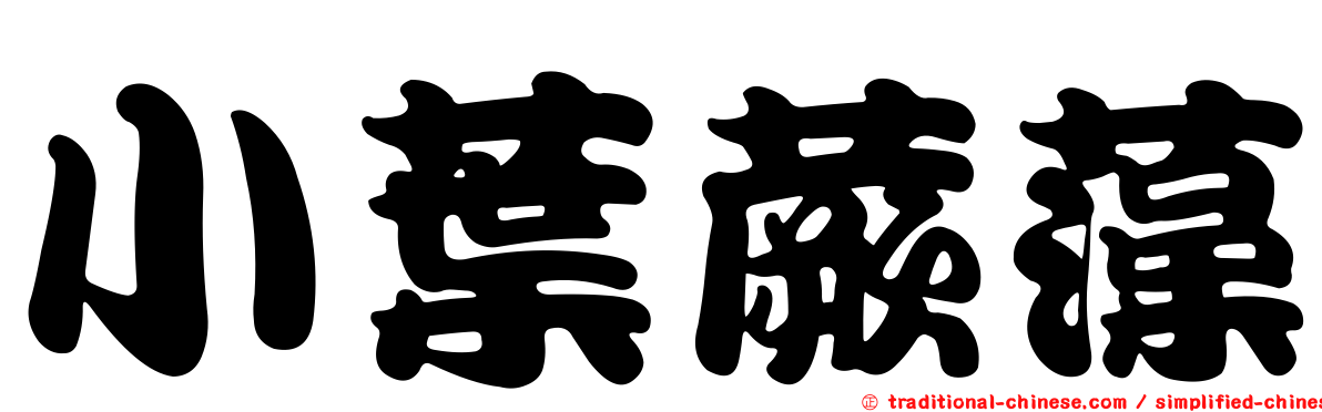 小葉蕨藻