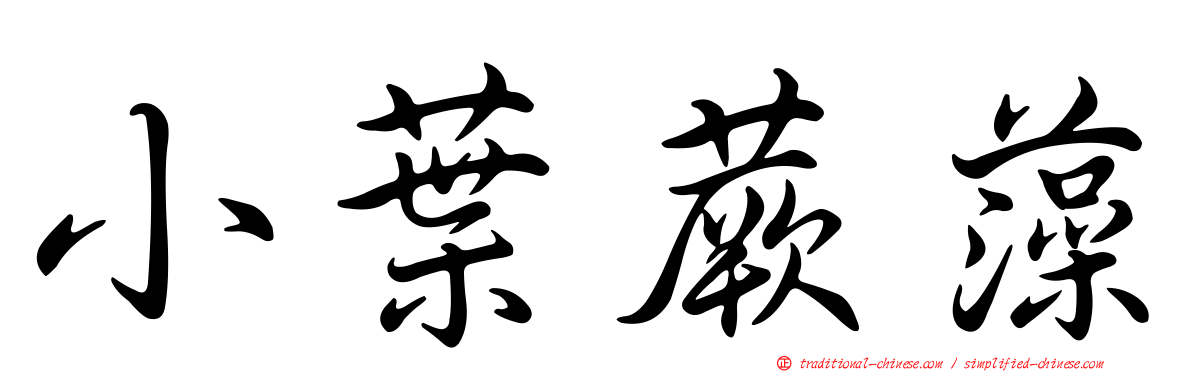 小葉蕨藻