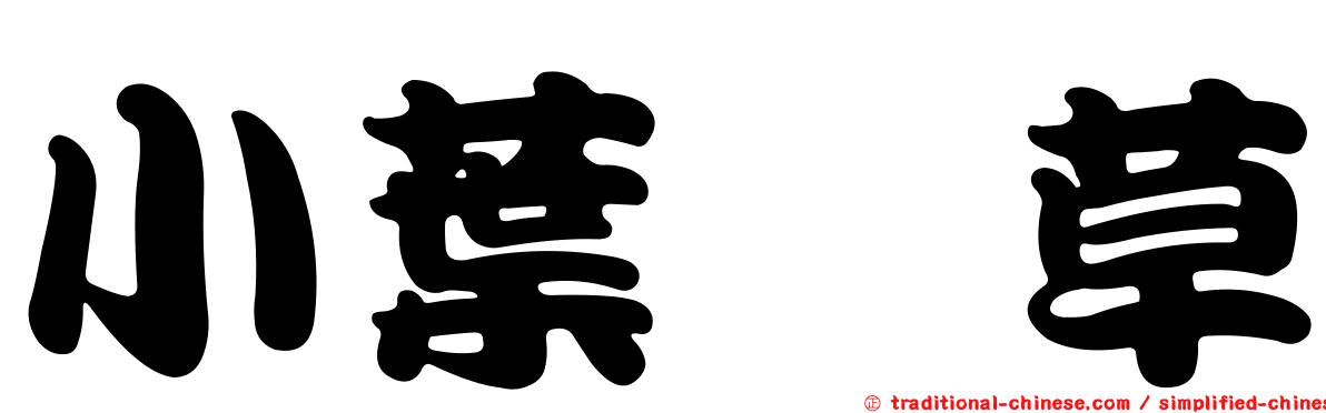 小葉藎草