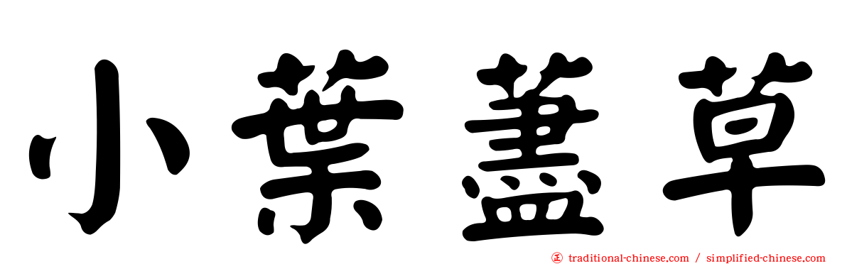 小葉藎草