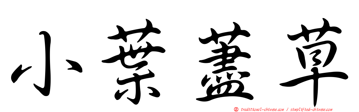 小葉藎草