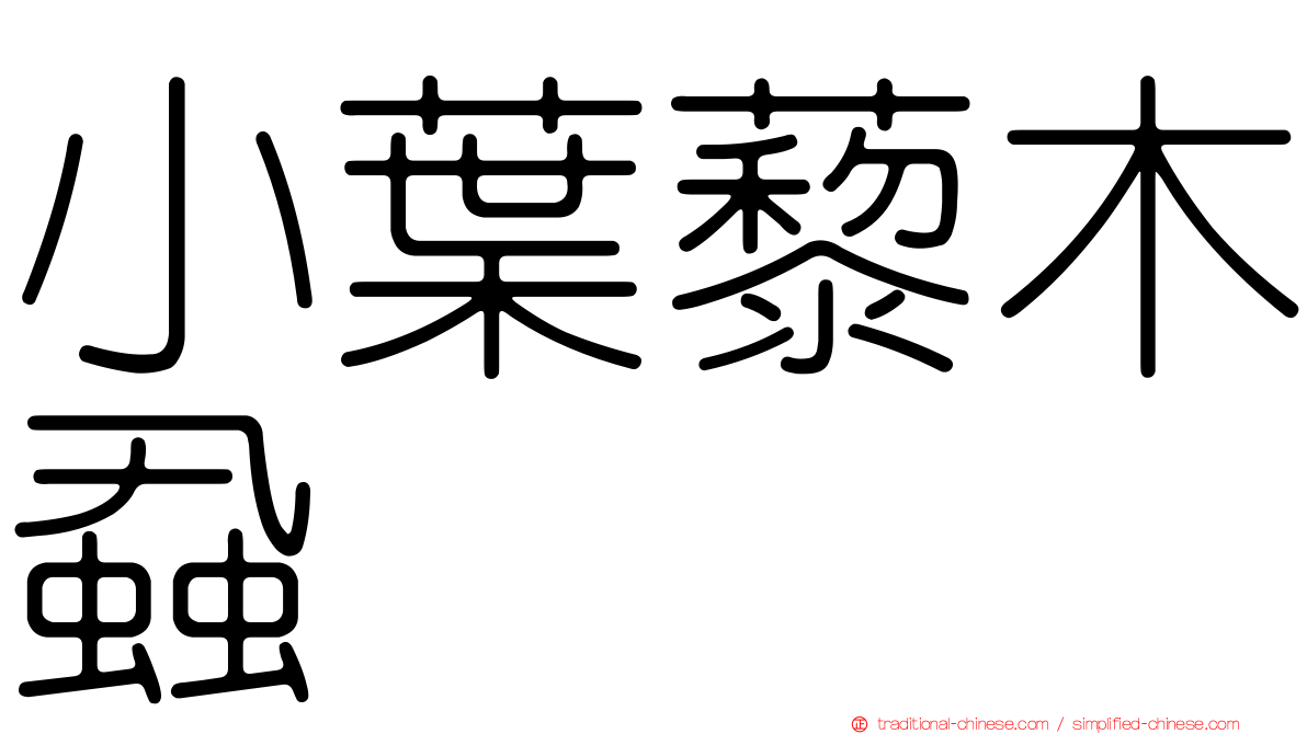 小葉藜木蝨