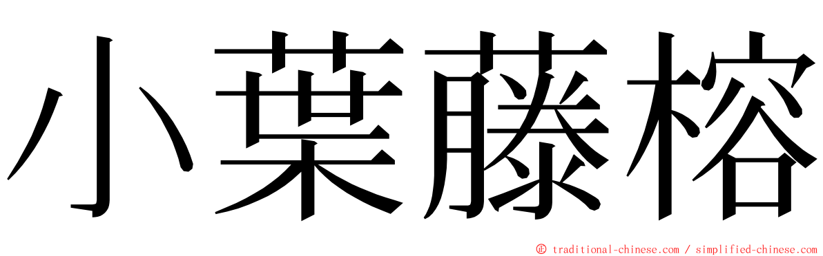 小葉藤榕 ming font
