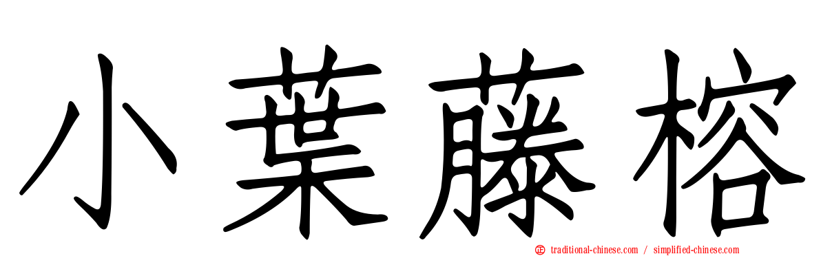 小葉藤榕