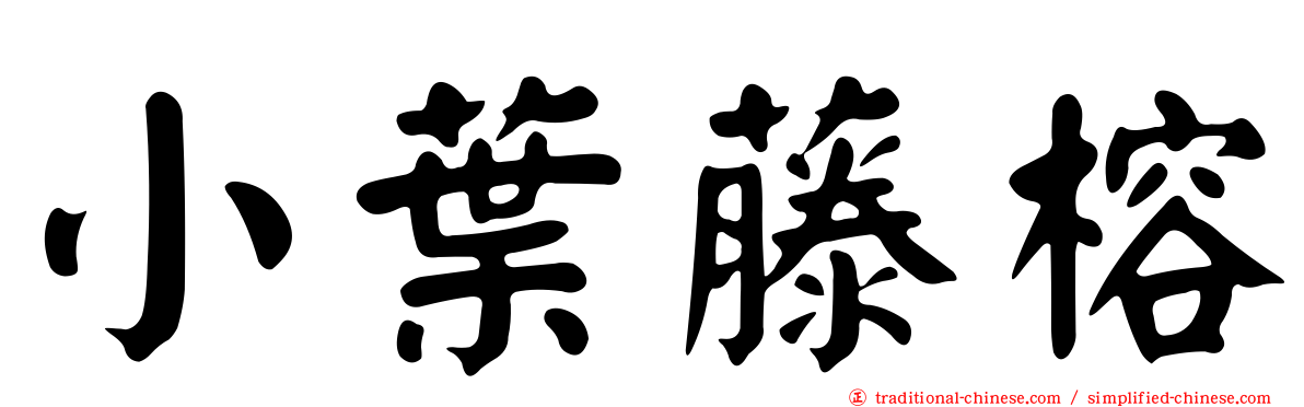 小葉藤榕