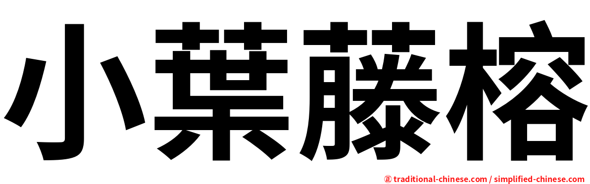 小葉藤榕
