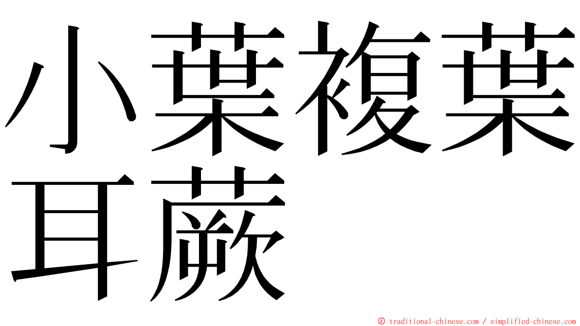 小葉複葉耳蕨 ming font
