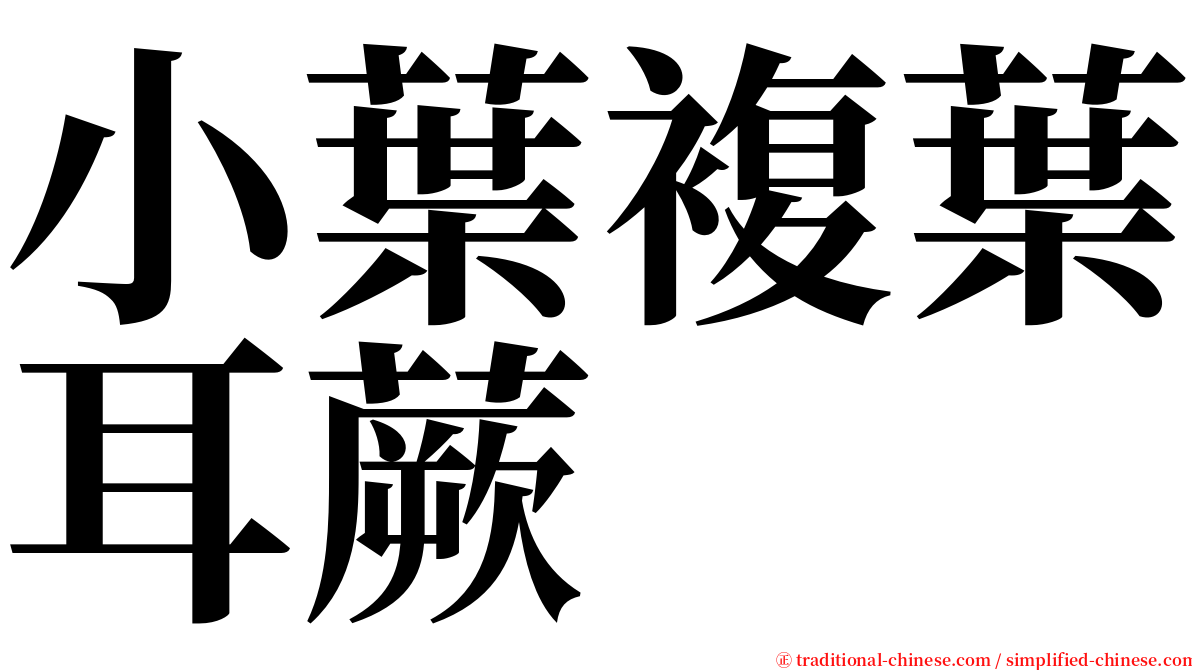 小葉複葉耳蕨 serif font