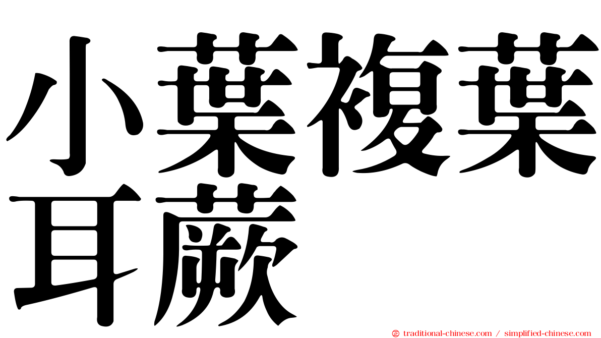 小葉複葉耳蕨