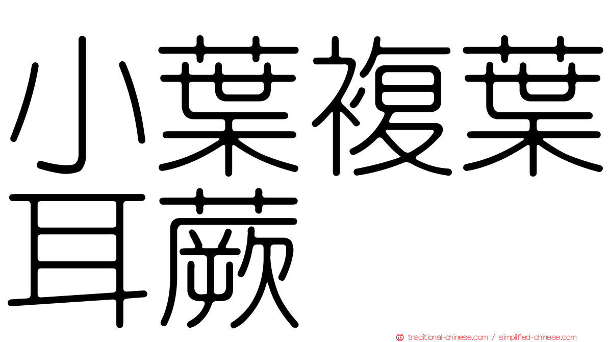 小葉複葉耳蕨