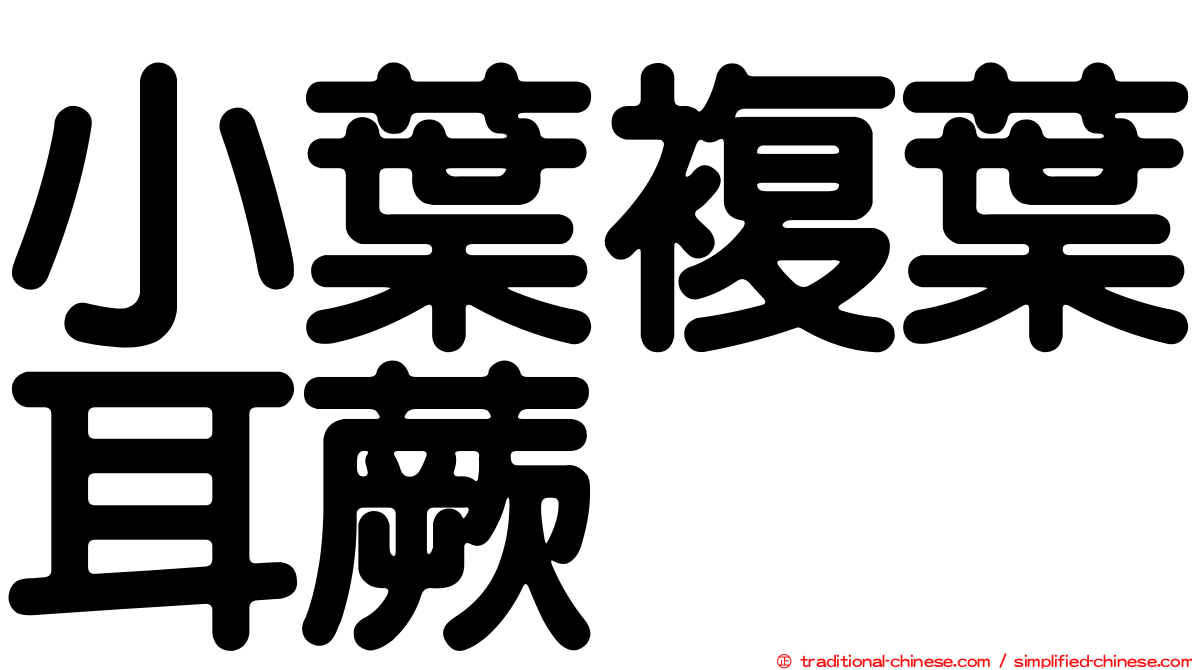 小葉複葉耳蕨