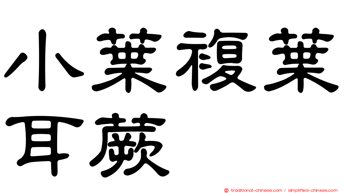 小葉複葉耳蕨