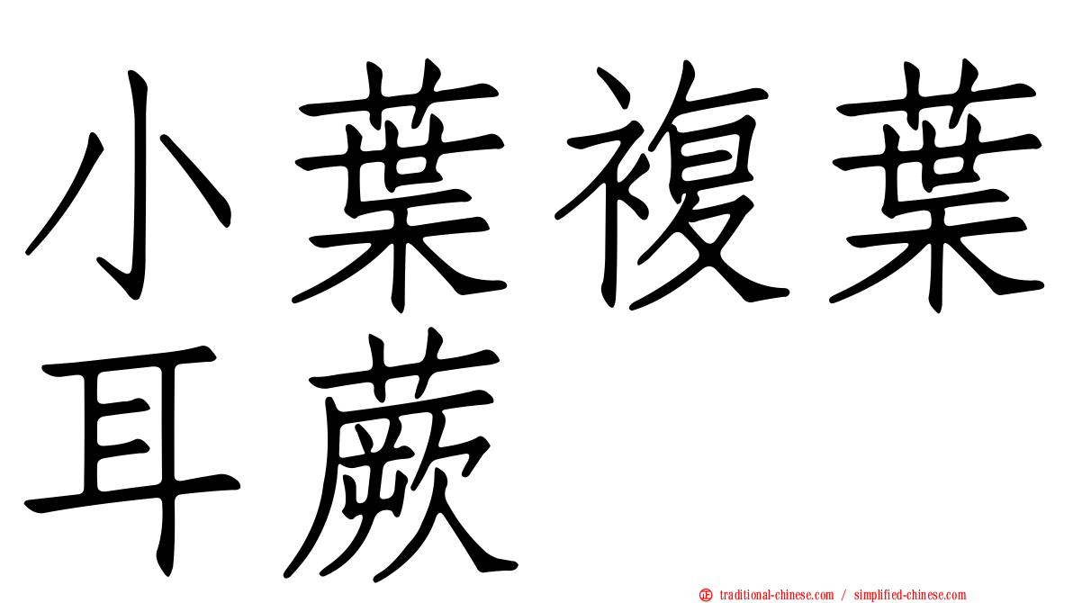 小葉複葉耳蕨