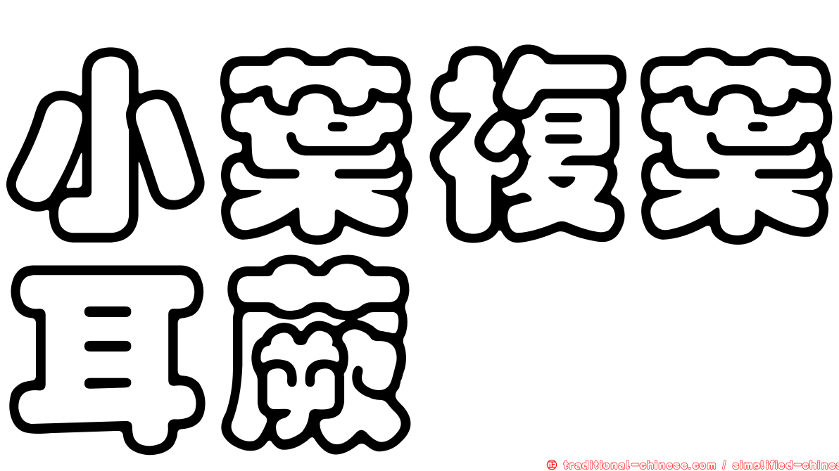 小葉複葉耳蕨
